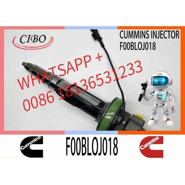 MTU2000 Common Rail Diesel Injector MTU F0013L0J004 F00BL0J005 F00BL05011