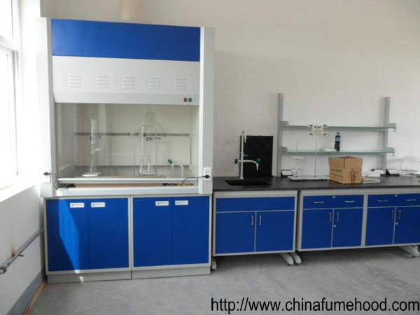 Buy China Cheap Laminar Flow Fume Hood in Laboratory Ventilation System at wholesale prices