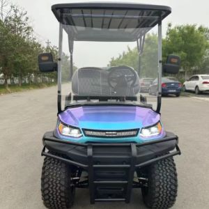 China Qingdao EV Golf Cart Manufacturers Electric Tourist 48 Volt 4 Person Club Golf Carts for Sale  on sale