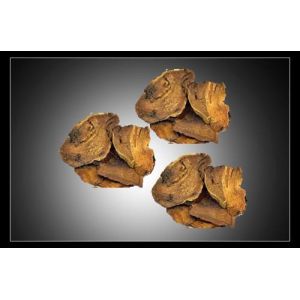 rhubarb extract Anthraquinones10% Emodin 5% --rhubarb pieplant,Rheum officinale