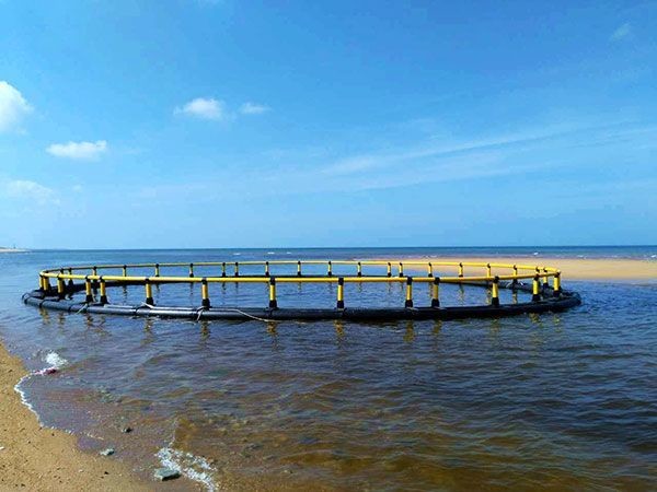 Buy HDPE Pipe Floating Fish Farming Cage Aquaculture Traps Customizable at wholesale prices