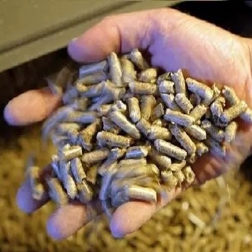 Sawdust Pellet Machine Wood Pellets Machine For Biomass Fuel Pellet Making