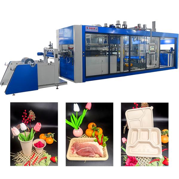 Customizable Tray Production with Advanced Pressure Thermoforming Machine and 0