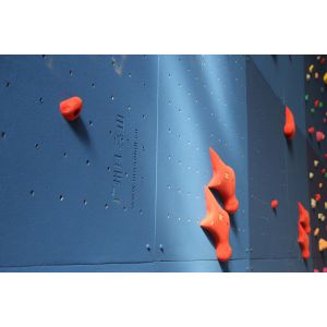 Outdoor Climbing Holds Training Hold Resin Rock Indoor Climbing Hand Holds
