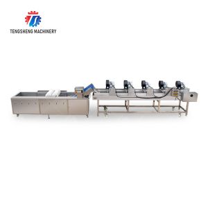 Fruits cleaning and drying production line Fruit Vegetable FOOD processing