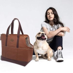 Amazing design new style Soft pet carrier travel