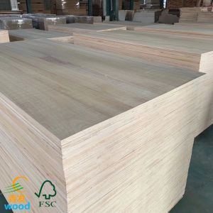 Lightweight Wood Board for Qingfa Paulownia Length 100mm-2440mm Payment T/T or L