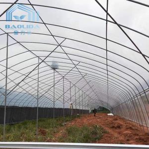 Quality galvanized steel pipe Single-Span Film Commercial Tunnel Plastic Greenhouse for agriculture plants growing for sale