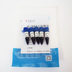 Two Color DNA Electrophoresis Buffer GDSBio Gel Electrophoresis Buffer