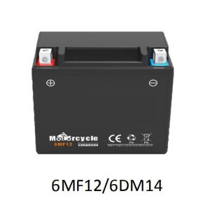 Customized for The European and American Markets Special for Large Displacement