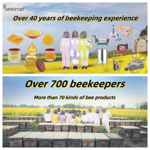 Handmade Organic Honey Soap with 10% Honey for Nourishing and Moisturizing 100g