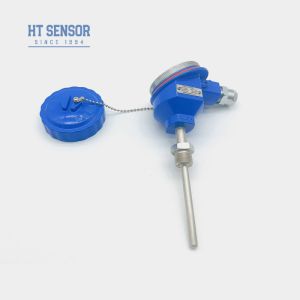 PT100 Temperature Indicator Transmitter BT93420-I Water Temperature Transmitter
