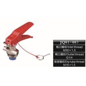 Red / Blue / Black Fire Extinguisher Fittings , Brass Fire Extinguisher