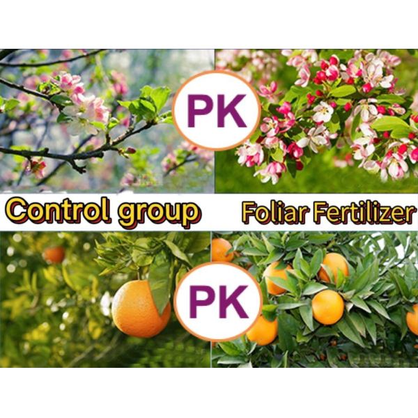 Crop Agriculture Enhanced Efficiency Fertilizers Water Insoluble