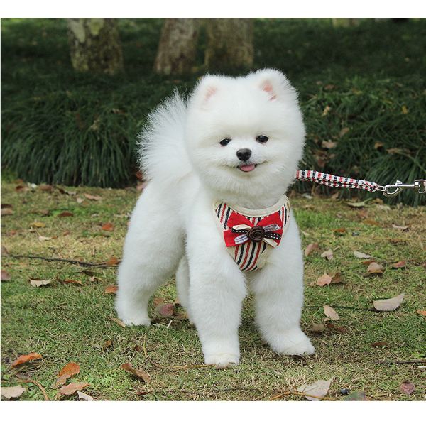 Wholesales Adjustable No-pull Pet Saddle Vest Pet product Cheap Dog Dress Pet Accessories Dog Harness And Leash