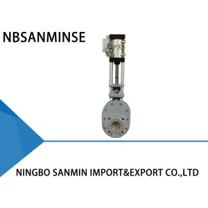 Pneumatic Wear-proof Double Discs Valve Inlet / Outlet Double Disc Valve Balance