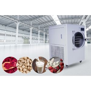 Mini Food Home Freeze Drying Equipment 6Kg 8Kg 10Kg