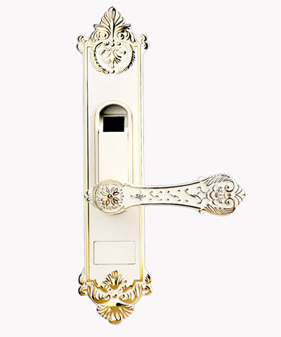 Buy Room fingerprint door lock  for home room, office room digital biometric door lock at wholesale prices