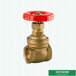 Quality 200 WOG 2 Inch Red Iron Handle Customized BSPT AND NPT Heavier Style Brass Gate Valve for sale