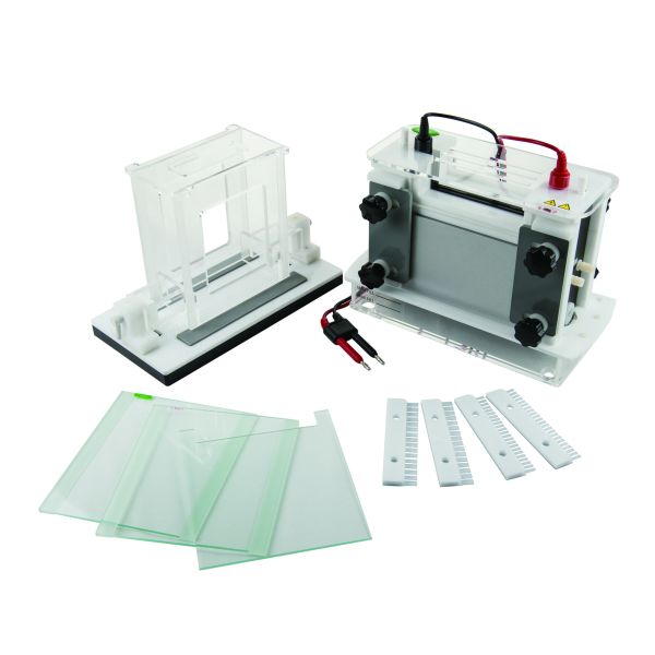 Jy-scz9 Polyacrylamide Gel Electrophoresis Apparatus Vertical Electrophoresis