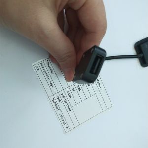 A Grade Small Flexible Solar Panels Glass Laminated 6V 10W Waterproof Long