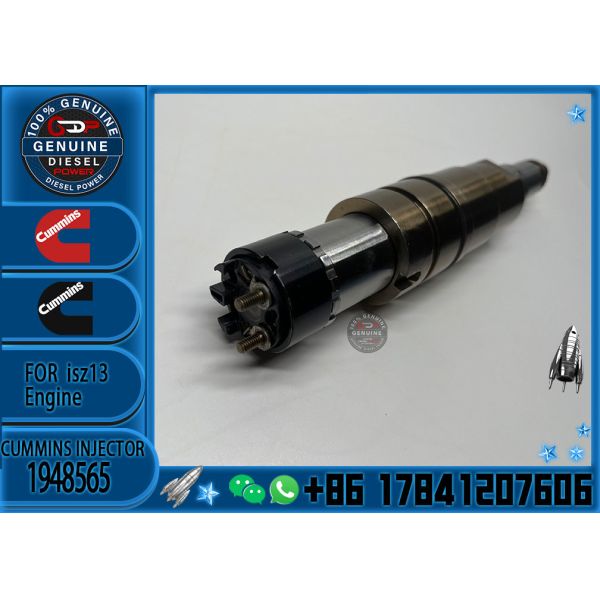 2029622 Genuine Diesel Common Rail Fuel Injector 1948565 2030519 2031836 2031835 2086663