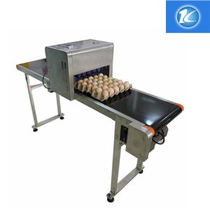 Quality Egg Continuous Inkjet Printer Personalized Configuration Integrated Rack for sale
