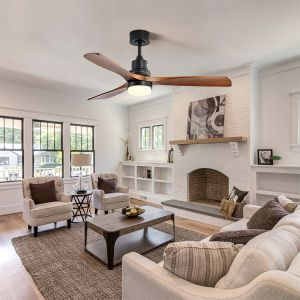 Dimmable AC/DC120V 65W Smart Ceiling Fan With Light And Remote 3 Speed