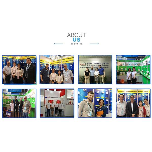 Riseem ISO Gas Boiler Room Non-programmable Thermostat For Floor Heating System 230V