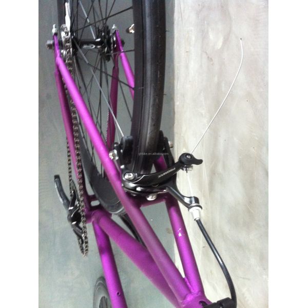 700C Fixed Gear Bicycle with Caliper Brake and Hi-Ten Steel Frame OEM Parts USA CE UL