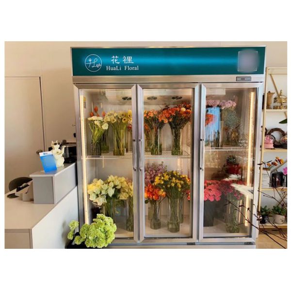 2520L Commercial Upright Refrigerator Grocery Beer Fridge Cooler Refrigeration