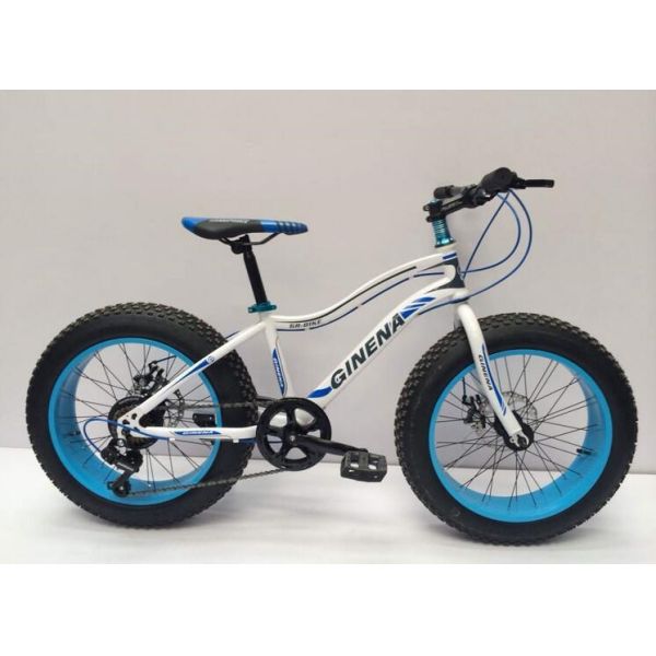 OEM 21 Speed 20 Inch Fat Tire Electric Bike