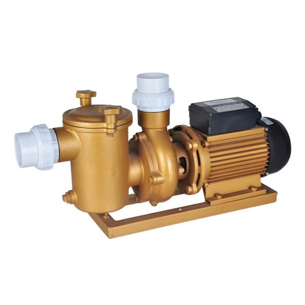 Buy Swimming Pool Dedicated Copper Pump at wholesale prices