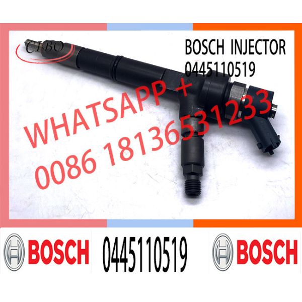 Common Rail Diesel Injector 0445110519 For Mercedes Benz MITSUBISHI Engine