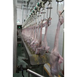 2000bph China Automatic Chicken Processing Plant New Condition Slaughtering