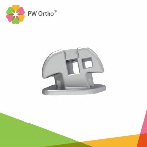 Double Archwire Technique Orthodontic Bracket Self Ligating