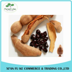 Water Soluble More Nutrition Hot Sale Tamarind Seed Extract
