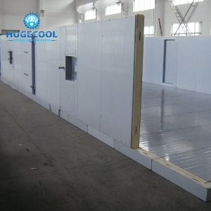 Temperature -10-0C Commercial Cold Storage Container with Refrigeration