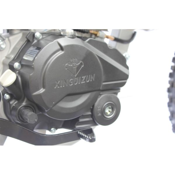 2019 New Model Double Disc Brake Outstanding and Powerful Dirt bike250cc