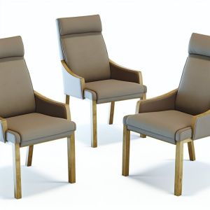 Modern Wood Dining Room Armchairs with Cushions Set of 2
