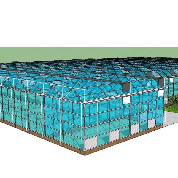 Buy Customized Glass-Covered Vegetable Greenhouse for Restaurant Growth at wholesale prices
