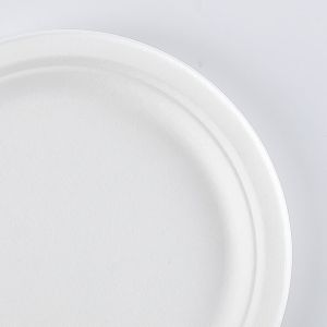 one time usable plates made of sugarcane bagasse 9inch