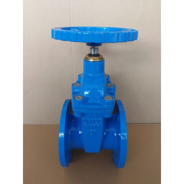 Buy DIN GATE VALVE RESILLIENT SEAT NRS at wholesale prices