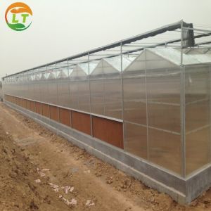 2021 Multi-Span Polycarbonate Invernadero Garden Greenhouse for Agriculture