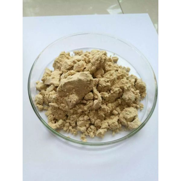 Buy organic avocado powder at wholesale prices