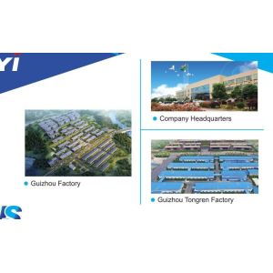 Plastic Electric Cigarette Lighter Children Resistance Dy-055 With Customized