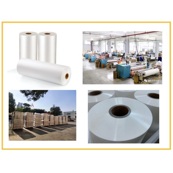 Buy 100MM - 2200MM Width Scratch Resistant Coating Film With 100% Transparency at wholesale prices