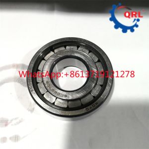 OEM Cylindrical Roller Bearing SC060702 C VE C3 28x60x18MM