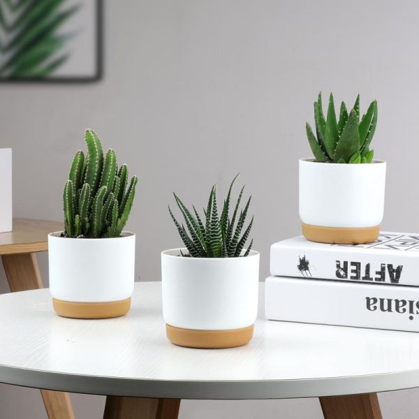 Buy Modern Self Watering Planter Pot for Home Decor at wholesale prices