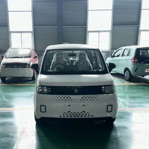 Made in BLAVAL High Speed Adult Electric Car RHD Chinese Electric Car 2024